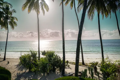 Palm Beach Sunset 4K Wallpaper · nature · 3840×2560