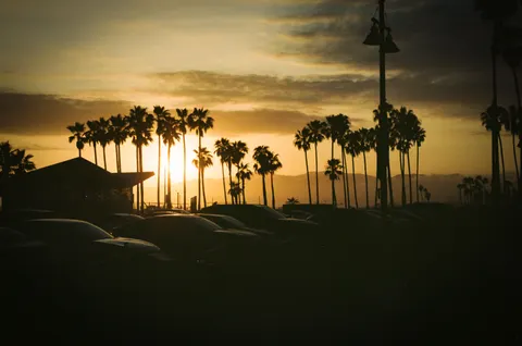 Fondo de pantalla Atardecer en playa de palmeras 4K · nature · 3840×2546
