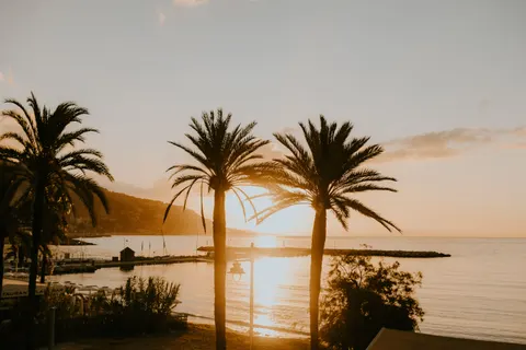Palm Beach Sunset 4K Wallpaper · nature · 3840×2560
