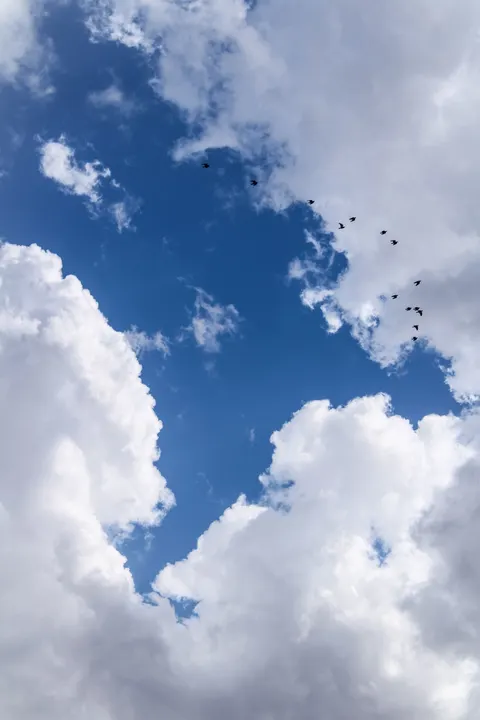 Anime Sky Phone Wallpaper · illustration · 1440×2160