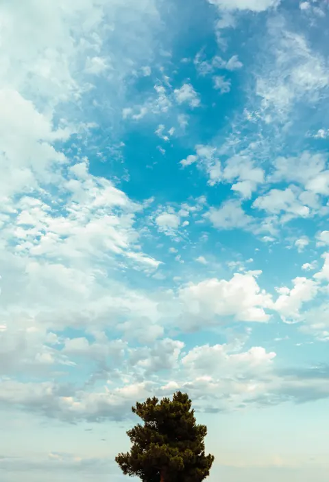 Anime Sky Phone Wallpaper · illustration · 1440×2106