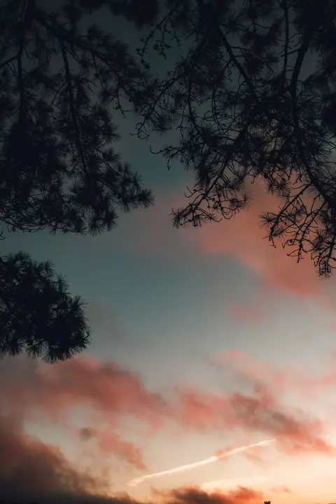 Anime Sky Phone Wallpaper · illustration · 1440×2160