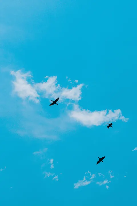 Anime Sky Phone Wallpaper · illustration · 1440×2160