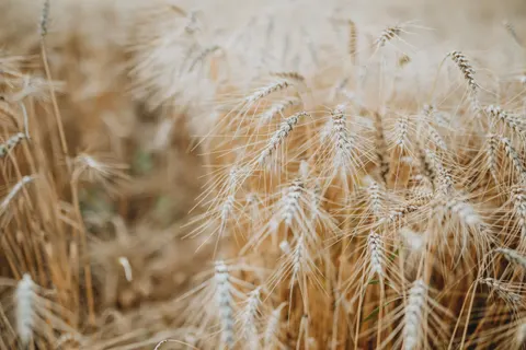 خلفية طبيعة بدقة 4K · nature · 3840×2560