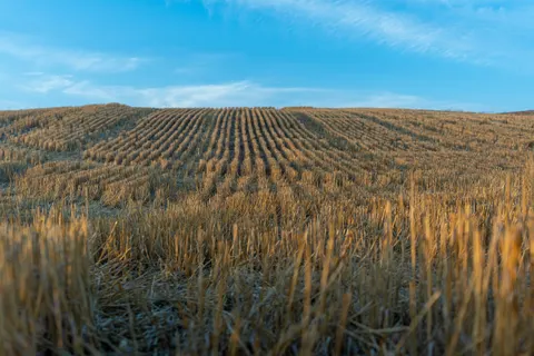 Fond d'écran Nature 4K · nature · 3840×2560