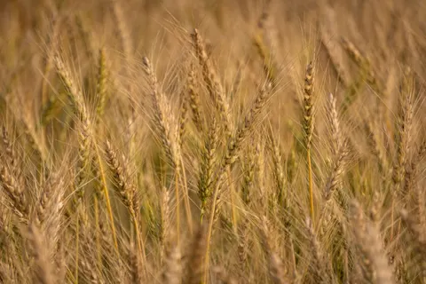 Fond d'écran Nature 4K · nature · 3840×2560