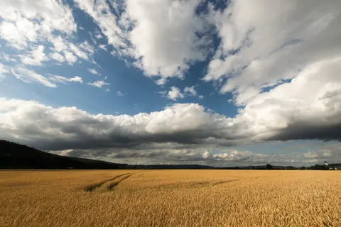 Wheat Field 4K Wallpaper · nature · 3840×2563