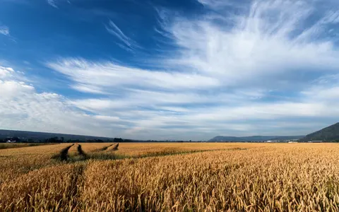 Обои Природа 4K · nature · 3840×2400