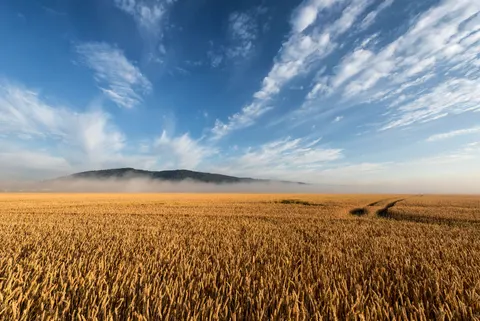 Natur 4K Hintergrundbild · nature · 3840×2564