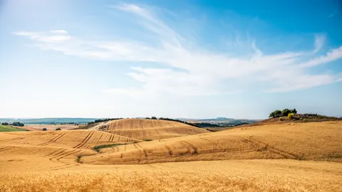 Wheat Field 4K Wallpaper · nature · 3840×2160