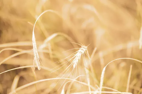 自然 4K壁纸 · nature · 3840×2560