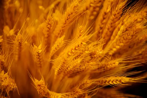 Natur 4K Hintergrundbild · nature · 3840×2560