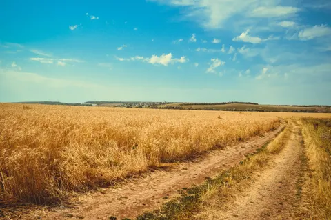 Fondo de pantalla Naturaleza 4K · nature · 3840×2553