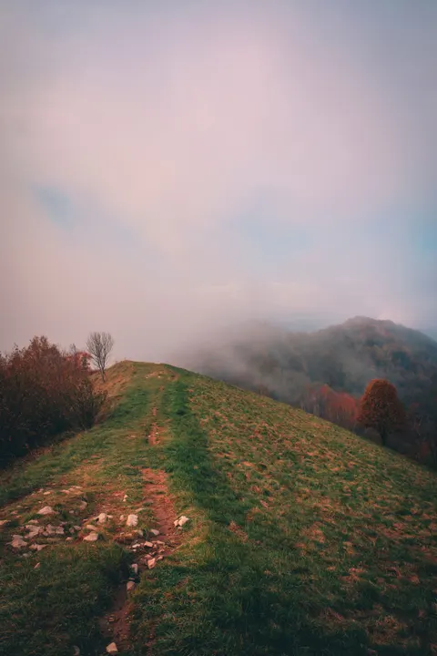 Fantasy Scene Phone Wallpaper · illustration · 1440×2160