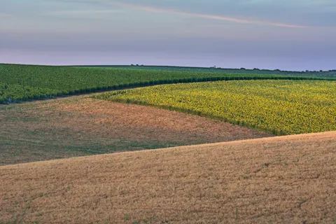 Vineyard Hills 4K Wallpaper · nature · 3840×2560