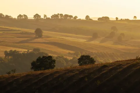 Fond d'écran Nature 4K · nature · 3840×2560