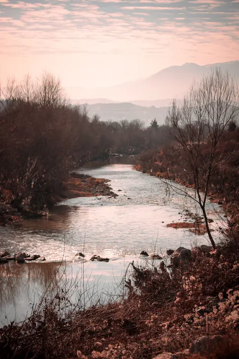 Fantasy Scene Phone Wallpaper · illustration · 1440×2160