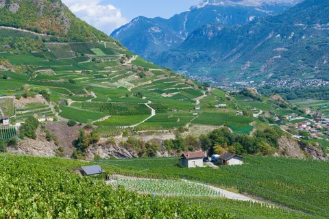 Vineyard Hills 4K Wallpaper · nature · 3840×2558