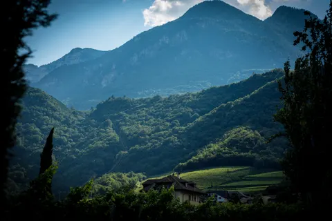Vineyard Hills 4K Wallpaper · nature · 3840×2560