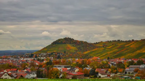 Vineyard Hills 4K Wallpaper · nature · 3840×2158