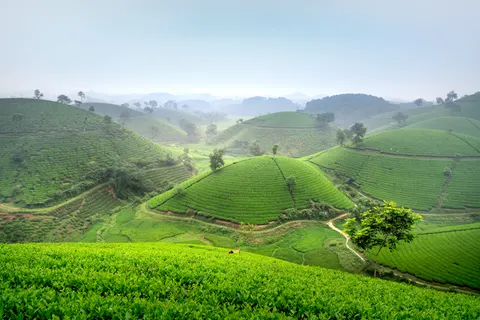 绿色山丘 4K壁纸 · nature · 3840×2561
