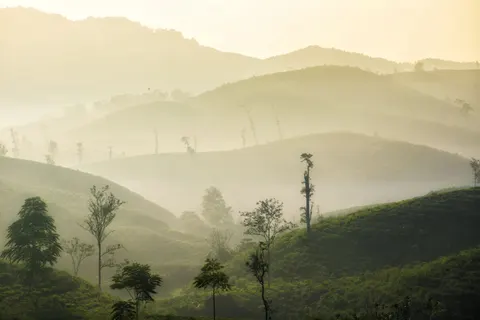 Fond d'écran Nature 4K · nature · 3840×2560