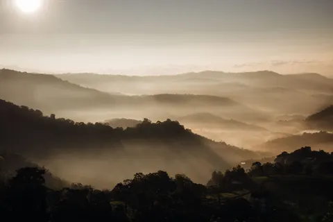 والپیپر درهٔ مه‌آلود با کیفیت 4K · nature · 3840×2560