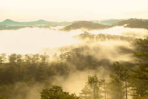 안개 낀 계곡 4K 배경화면 · nature · 3840×2560