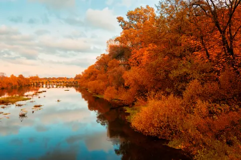Autumn River 4K Wallpaper · nature · 3840×2553