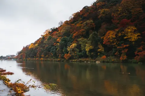 Natur 4K Hintergrundbild · nature · 3840×2560