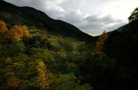 Fond d'écran Rivière d'automne 4K · nature · 3840×2523