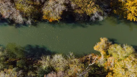 Autumn River 4K Wallpaper · nature · 3840×2160