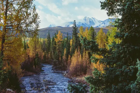 Autumn River 4K Wallpaper · nature · 3840×2546