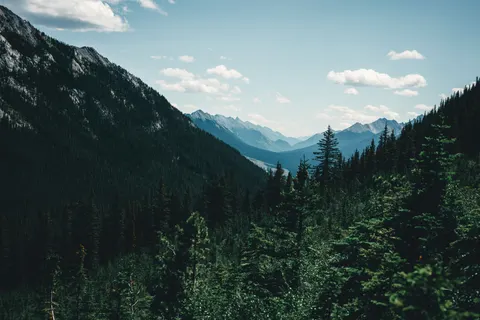 Обои Природа 4K · nature · 3840×2561