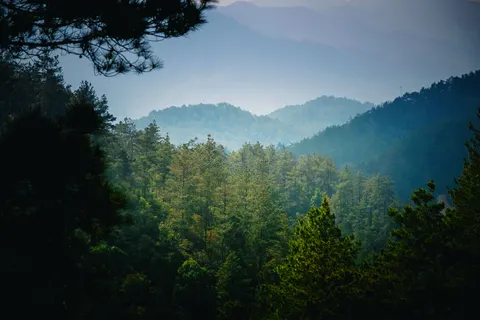 Fondo de pantalla Naturaleza 4K · nature · 3840×2560