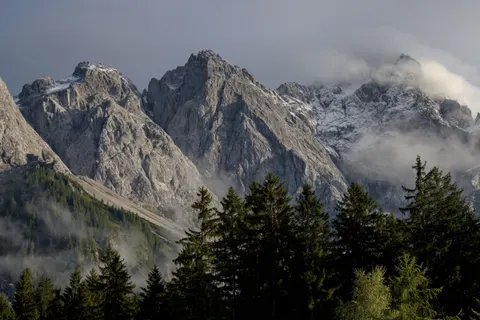 松林 4K壁紙 · nature · 3840×2556