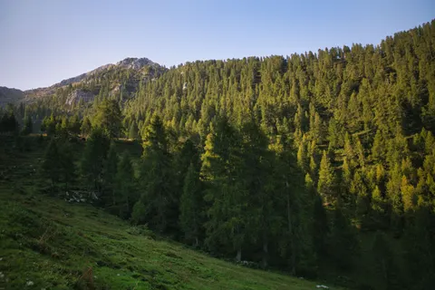 Fond d'écran Nature 4K · nature · 3840×2560