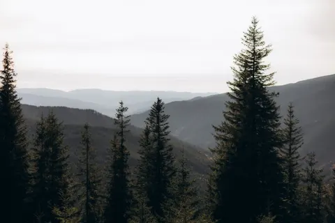 Papel de parede Natureza 4K · nature · 3840×2560