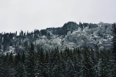 Обои Природа 4K · nature · 3840×2560