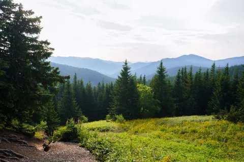 Natur 4K Hintergrundbild · nature · 3840×2560