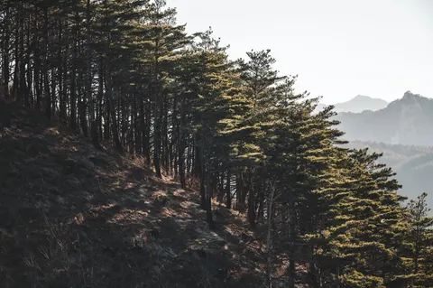 Fondo de pantalla Naturaleza 4K · nature · 3840×2552