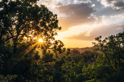 Savanna Sunset 4K Wallpaper · nature · 3840×2555