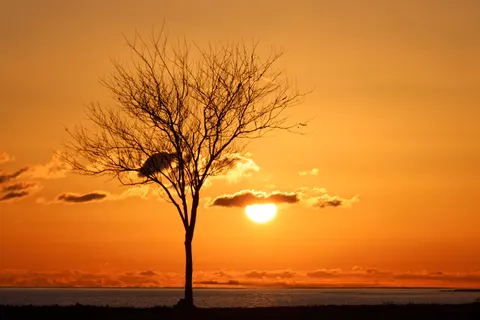 Обои Природа 4K · nature · 3840×2561