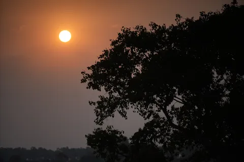 Savanna Sunset 4K Wallpaper · nature · 3840×2560