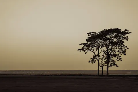 Savanna Sunset 4K Wallpaper · nature · 3840×2561