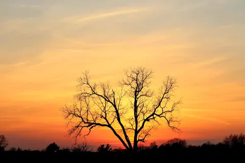 Natur 4K Hintergrundbild · nature · 3840×2560