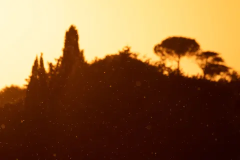 Fondo de pantalla Atardecer en la sabana 4K · nature · 3840×2560