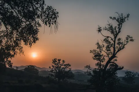 Обои Закат в саванне 4K · nature · 3840×2560