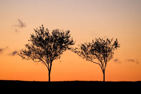 Papel de parede Natureza 4K · nature · 3840×2561