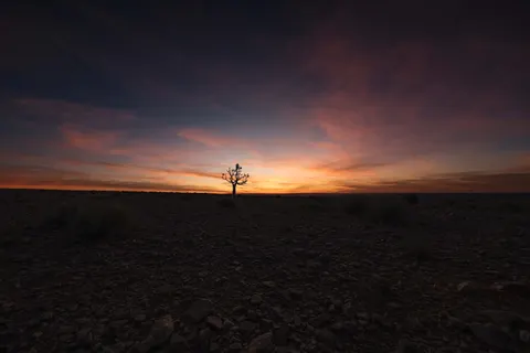 Savanna Sunset 4K Wallpaper · nature · 3840×2560